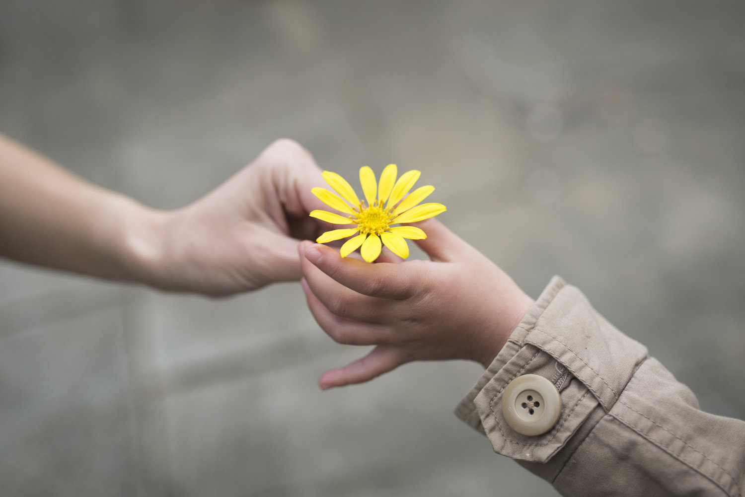 A small act of kindness (StoryTokri originals)
