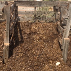 Episode 3: Building a Compost Pile