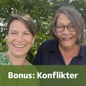 Bonus: konflikter