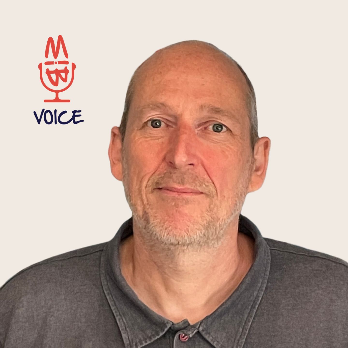 BIMvoice