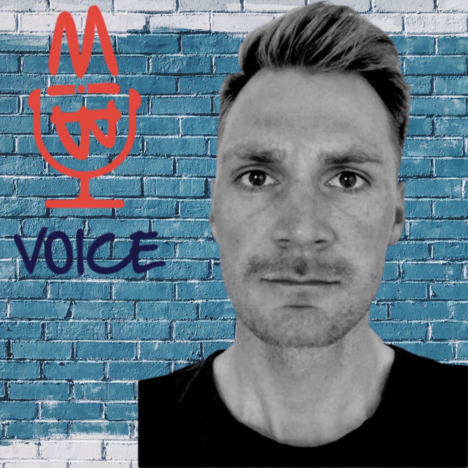 BIMvoice