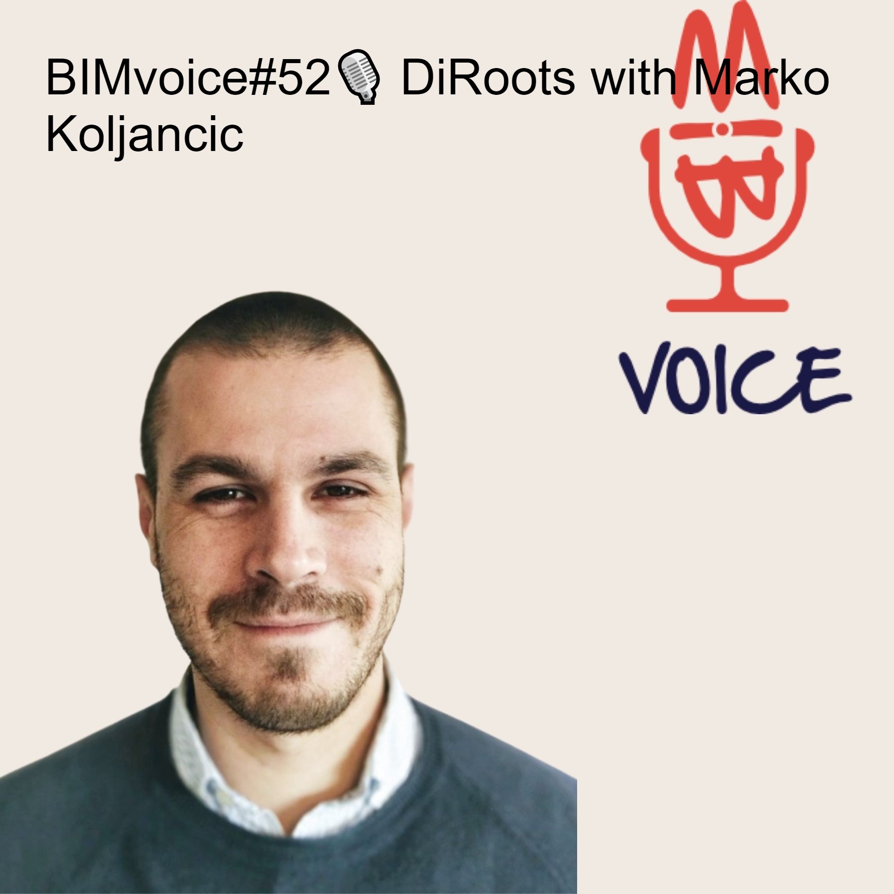 BIMvoice