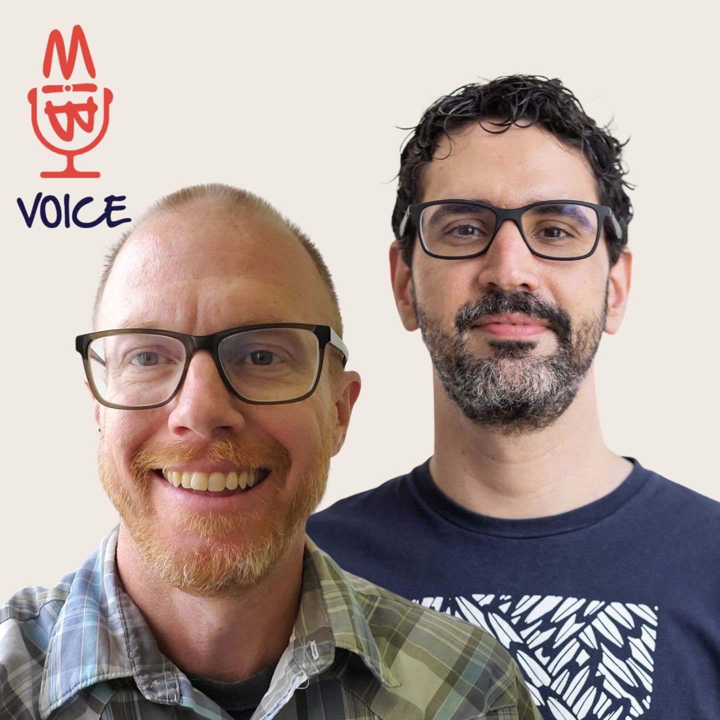 BIMvoice