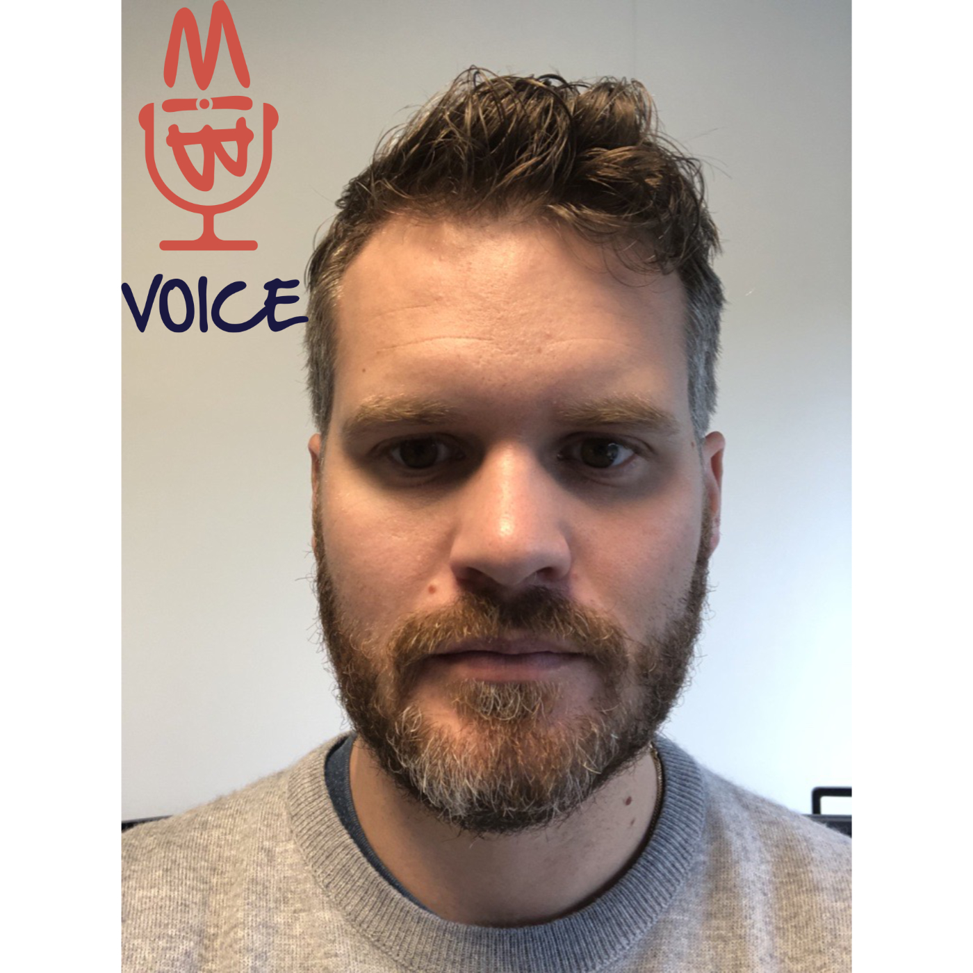 BIMvoice