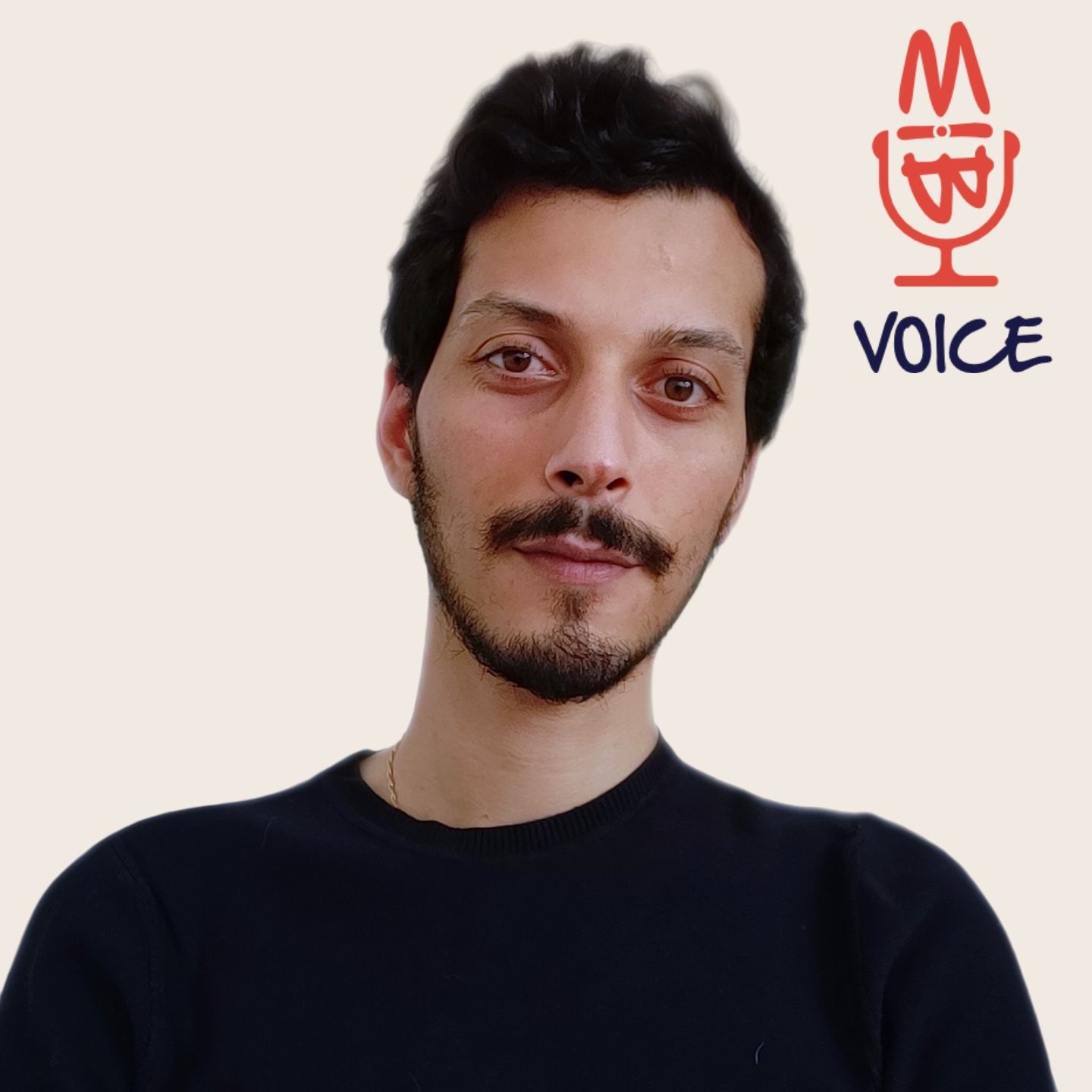 BIMvoice