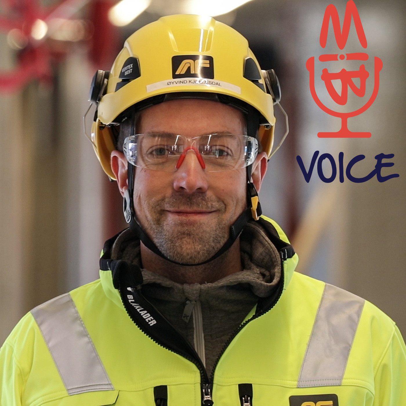 BIMvoice