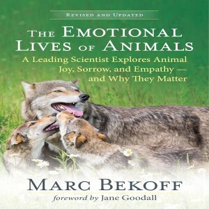 The Emotional Lives of Animals: Dr. Marc Bekoff Explains Why Animal Wellbeing Matters