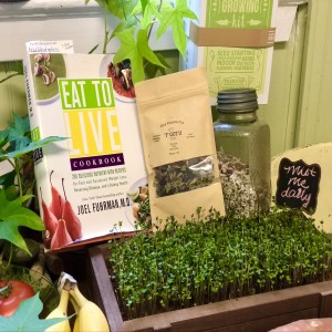 Holiday Wellness Gift Giving: Green, Vegan, & Natural Gift Ideas to Support Health
