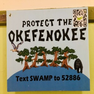 Protecting the Okefenokee Swamp Refuge from Mining: Ecologist Rena Ann Peck of GA River Network