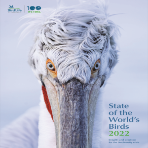 State of the World’s Birds and How to Prevent Further Species Declines: A Birdlife International Report