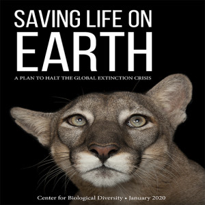 How Biden Declaring Extinction a National Emergency Could Save Life on Earth: A Campaign of the Ctr for Biological Diversity