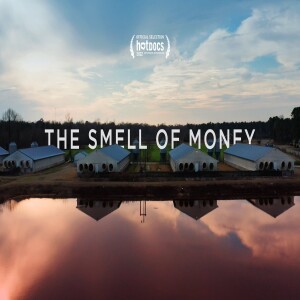 The Smell of Money documentary: Pig Factory Farming & Environmental Racism in North Caroliina