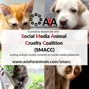Removing Harmful Wild Animal Social Media Posts: Nicola O’Brien of Social Media Animal Cruelty Coalition