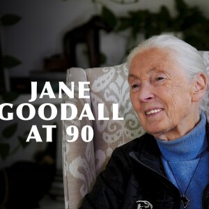 Working for Wildlife into their 90s: Interviews with the Inspirational Dr. Jane Goodall and Dr. E.O. Wilson