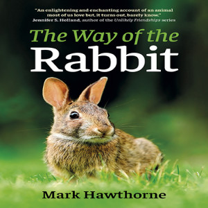 Natural History & Conservation of Rabbit Species: Interview with author Mark Hawthorne "The Way of the Rabbit"