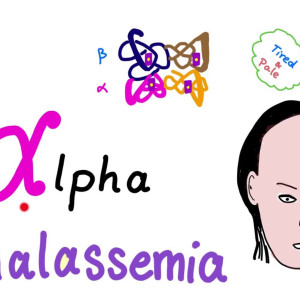 Thalassemia symptoms in hindi