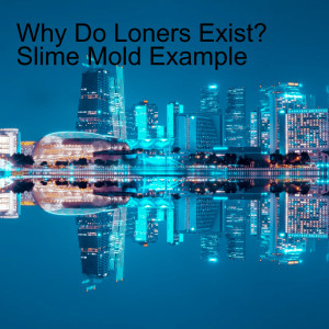 Why Do Loners Exist? Slime Mold Example