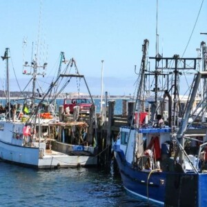 A Day in the Life of a Commercial Fisherman