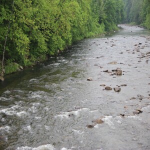 The Sacred Land Beneath Our Feet: Echoes of the Endless Mountains