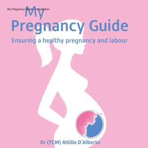 My Pregnancy Guide - Chapter Two Extract - Pregnancy for Dads