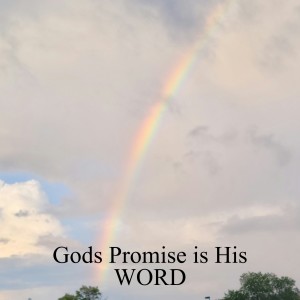 Gods Promise is His WORD