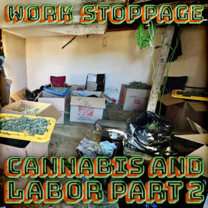 OT Ep 74 Preview: Cannabis and Labor Pt 2
