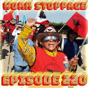 Ep 220 - Beat the Heat: Organize!