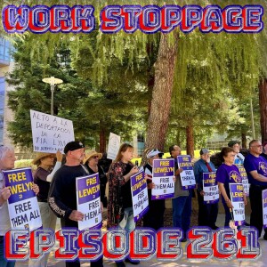 Ep 261 - Mismanagement Disguised as Innovation