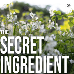 The Secret Ingredient | Ps Matt & Candice Maiden