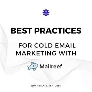 The Best Practices for Successful Cold Emailing with Mailreef