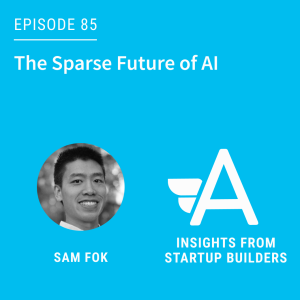 The Sparse Future of AI with Sam Fok from Femtosense