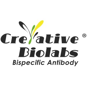 Webinar: Harnessing the Power of Bispecific Antibodies