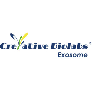 Exosomes Biogenesis & Therapeutics