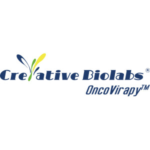 Oncolytic Virotherapy Basic Knowledge