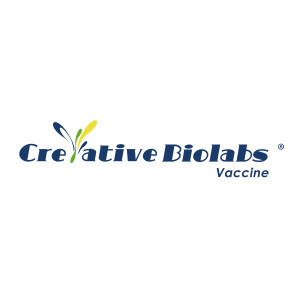 Vaccine Development and Manufacturing