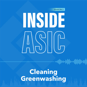 3. Cleaning Greenwashing