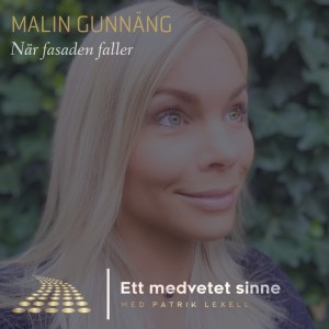 16. Malin Gunnäng - När fasaden faller