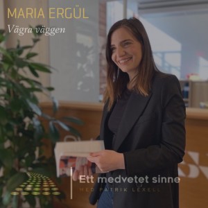 34. Maria Ergul - Vägra väggen