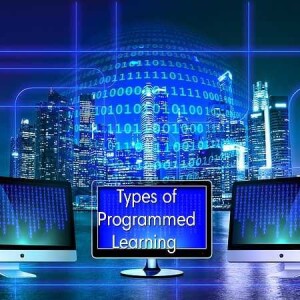 Types of Programmed Learning/Instruction 