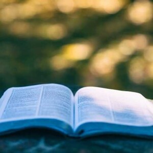 Types of Sampling in Educational Research- Probability Sampling