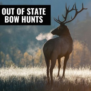 Ep 39: Out of State Bow Hunts