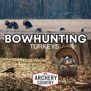 Ep 54: Bowhunting Turkeys
