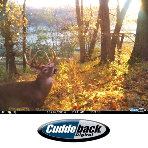 Ep 23: Trail Cameras with Cuddeback Digital