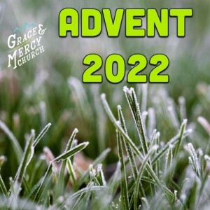 Advent 2022 - Peace - Scott Mitchell