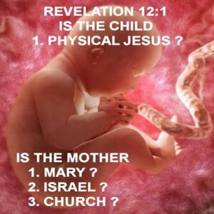 The Book of Revelation” The Seven Personages”Part 1( THE WOMAN)
