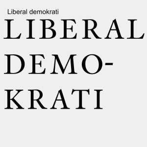 Liberal demokrati