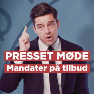 Mandater på tilbud // Presset Møde i Schøtministeriet 20. JUNI 2025