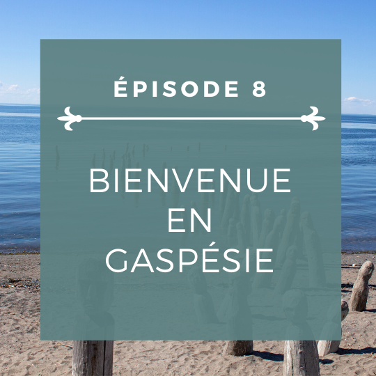 Fleur-de-lis: a French podcast