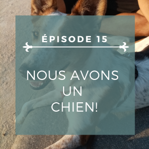 Épisode 15: Pourquoi j'ai décidé d'avoir un chien