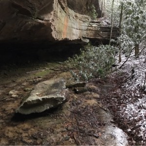 Minisode 31.1 - Psalm 1 in a Cave II
